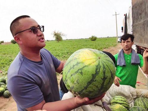 英华达吃瓜,揭秘娱乐圈背后的真相与争议