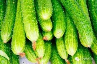 吃瓜解毒,揭秘娱乐圈背后的真相与温情