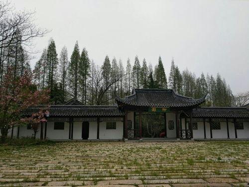 泰州柳园吃瓜,清凉一夏，味蕾狂欢