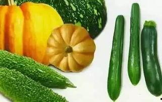 白妮吃瓜,揭秘娱乐圈幕后故事