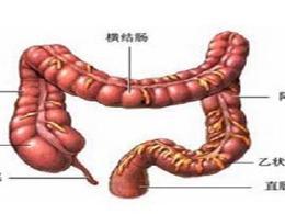 直肠手术可以吃小瓜吗