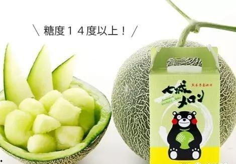 南城县吃瓜,瓜果飘香,品味夏日田园风情