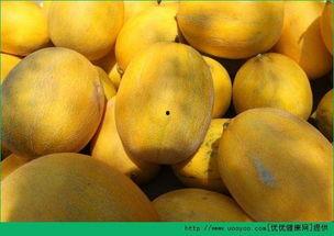 吃哈密瓜的能量,甜蜜滋养，活力满满的一天