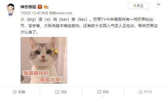 芒果tv在线吃瓜,在线吃瓜盛宴，带你领略娱乐圈风云变幻