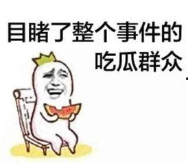 救援诸葛带你吃瓜,揭秘救援背后的故事