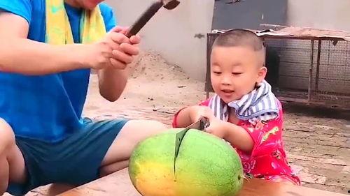 奶奶吃的是瓜